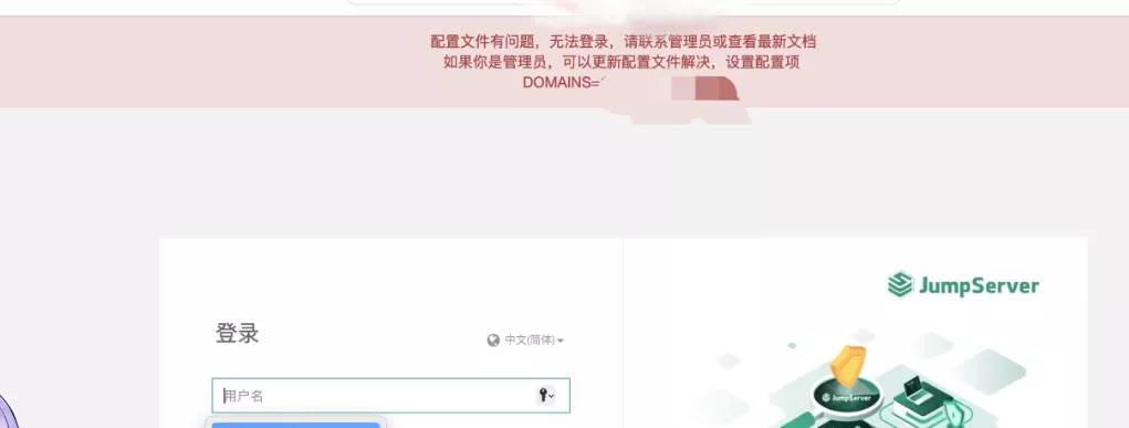 image-20250207215312065